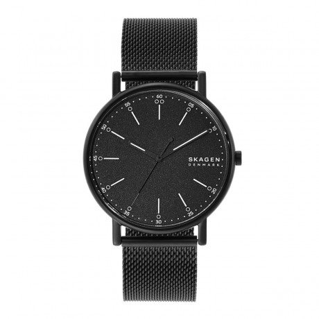 SKAGEN Signatur 40mm Quartz SKW6579